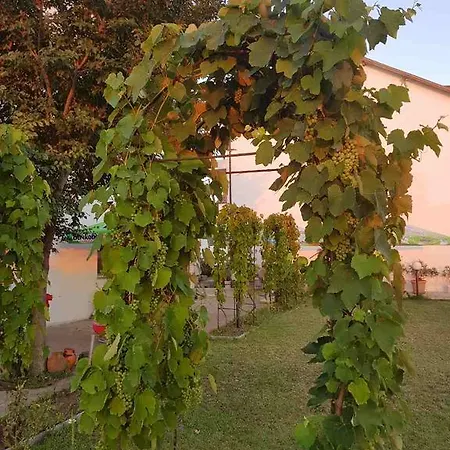 Szálloda Rohi Carevo